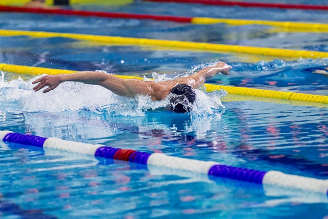 A man swimming butterfly stroke in a pool with lane markers