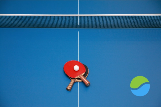 Two ping pong paddles and a ball rest on a blue ping pong table with a net in the background. A green and blue logo is visible on the right side of the table.